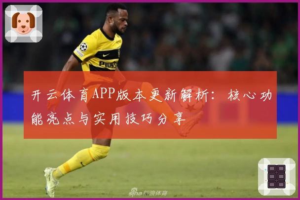 开云体育APP版本更新解析:核心功能亮点与实用技巧分享